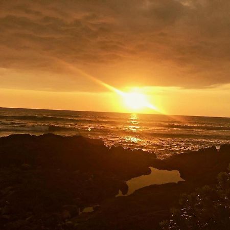 Unwind On Your Fantasy Hawaiian Vacation- 1Bd/1Ba Condo In Kailua-Kona, Hawaii Екстер'єр фото