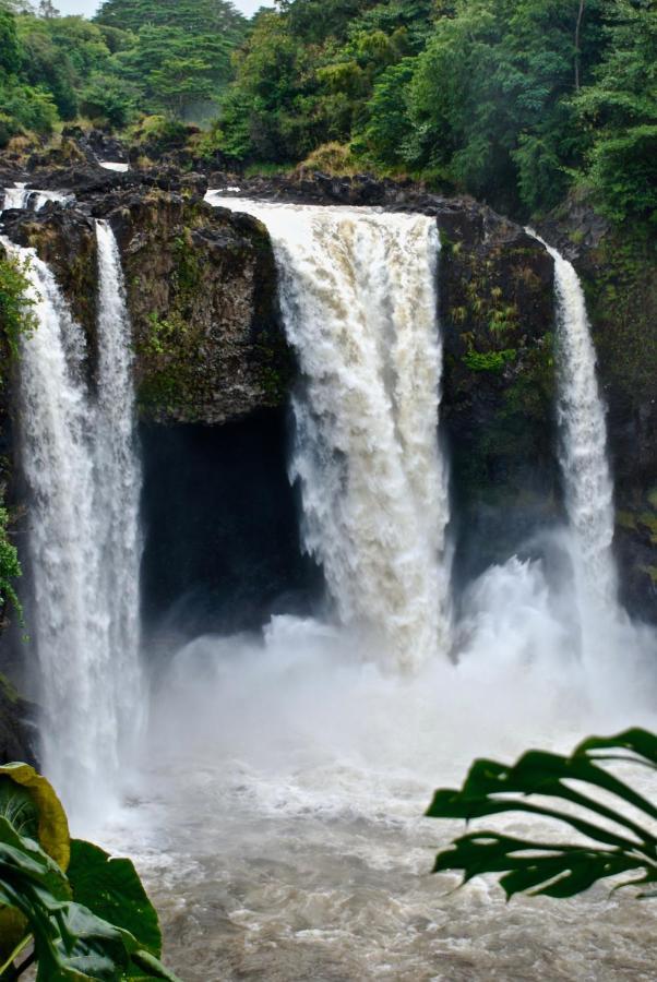 Unwind On Your Fantasy Hawaiian Vacation- 1Bd/1Ba Condo In Kailua-Kona, Hawaii Екстер'єр фото