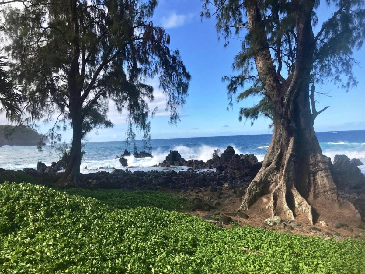 Unwind On Your Fantasy Hawaiian Vacation- 1Bd/1Ba Condo In Kailua-Kona, Hawaii Екстер'єр фото