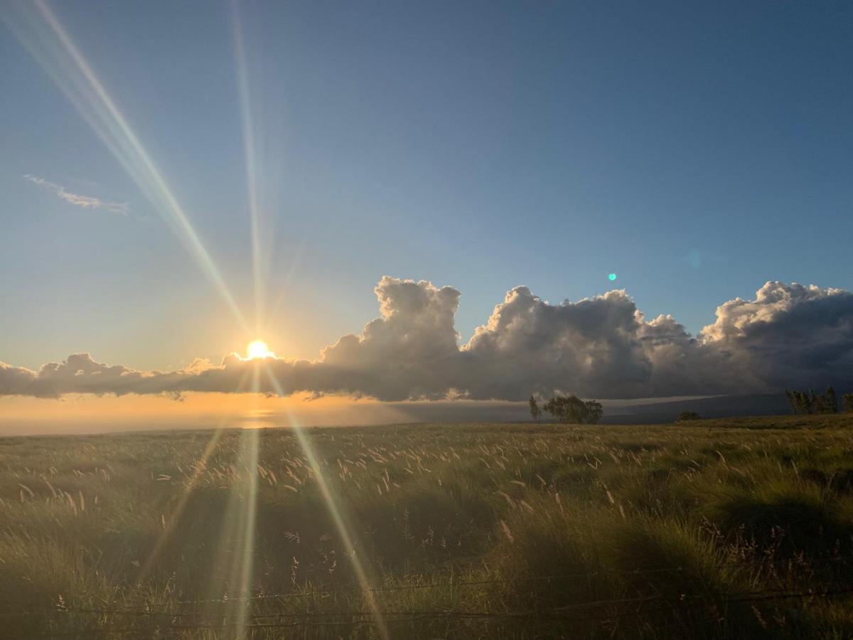 Unwind On Your Fantasy Hawaiian Vacation- 1Bd/1Ba Condo In Kailua-Kona, Hawaii Екстер'єр фото